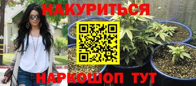 шишки Бузулук
