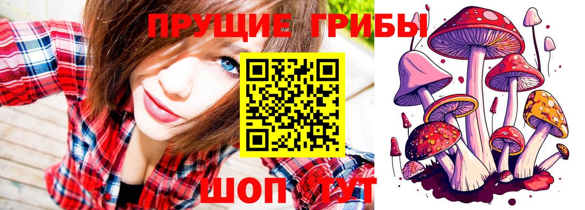 Галлюциногенные грибы GOLDEN TEACHER Пятигорск